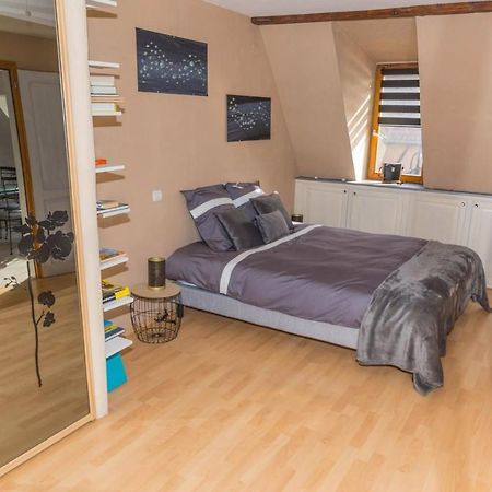 Charmant Appartement Alsacien Ribeauville  Bagian luar foto
