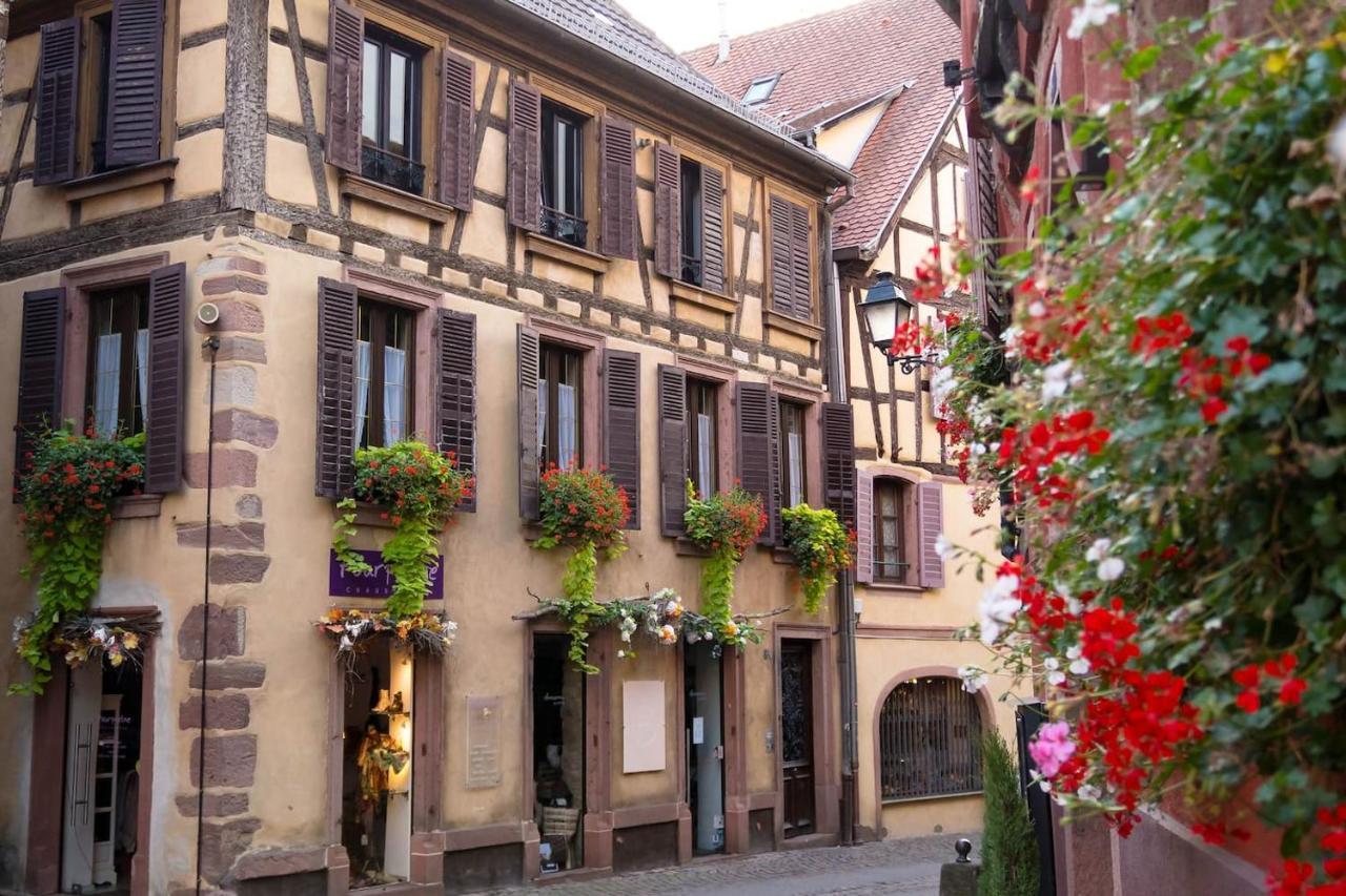 Charmant Appartement Alsacien Ribeauville  Bagian luar foto