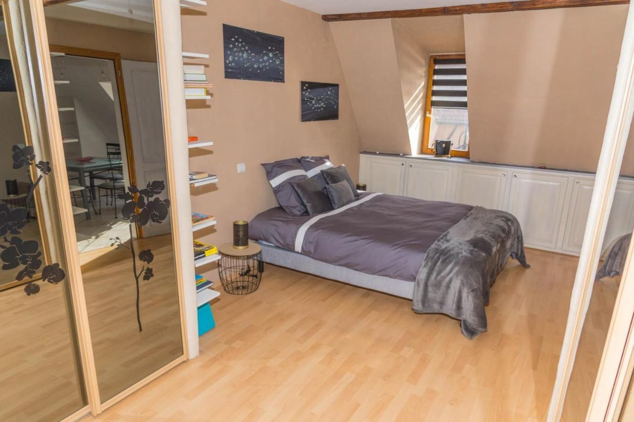 Charmant Appartement Alsacien Ribeauville  Bagian luar foto
