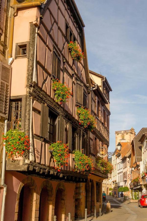 Charmant Appartement Alsacien Ribeauville  Bagian luar foto