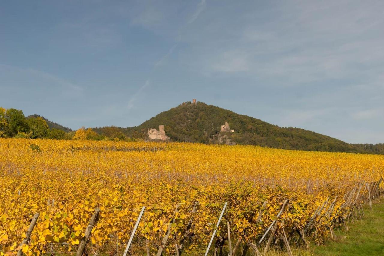 Charmant Appartement Alsacien Ribeauville  Bagian luar foto